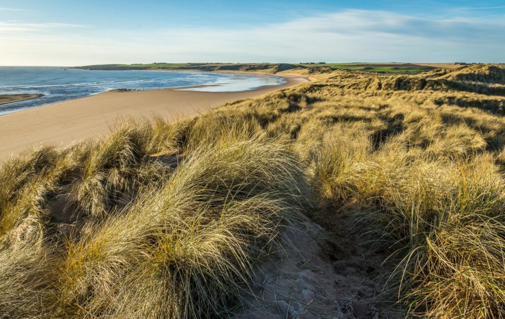 Cruden Bay, Aberdeenshire