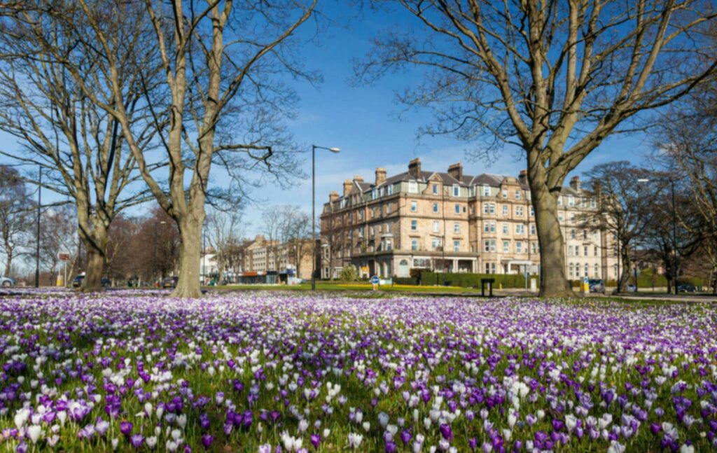 Where to live in Harrogate, The Stray